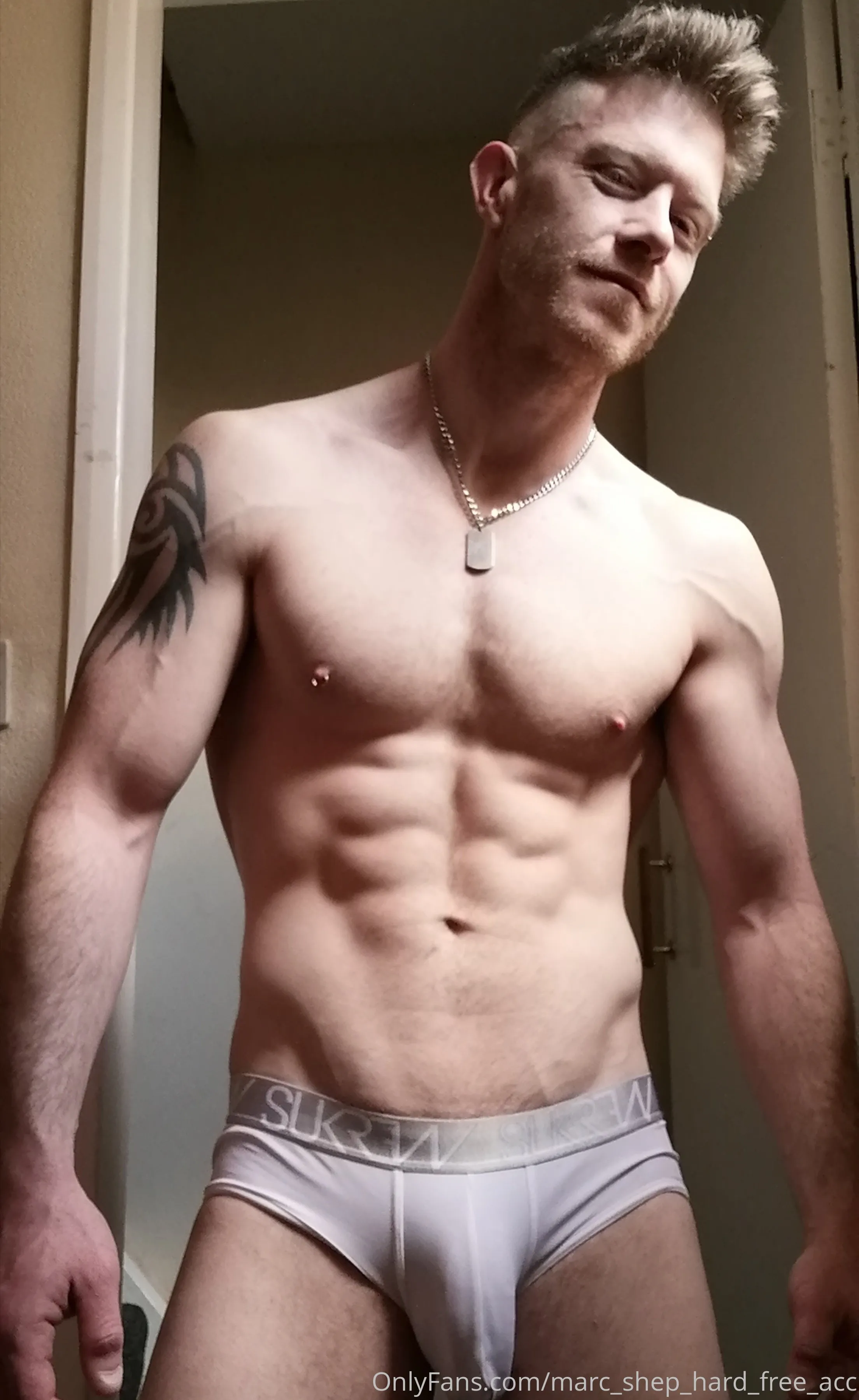 Marc-shep-HARD (free) OnlyFans premium content 20 - marc_shep_hard_free_acc exclusive collection