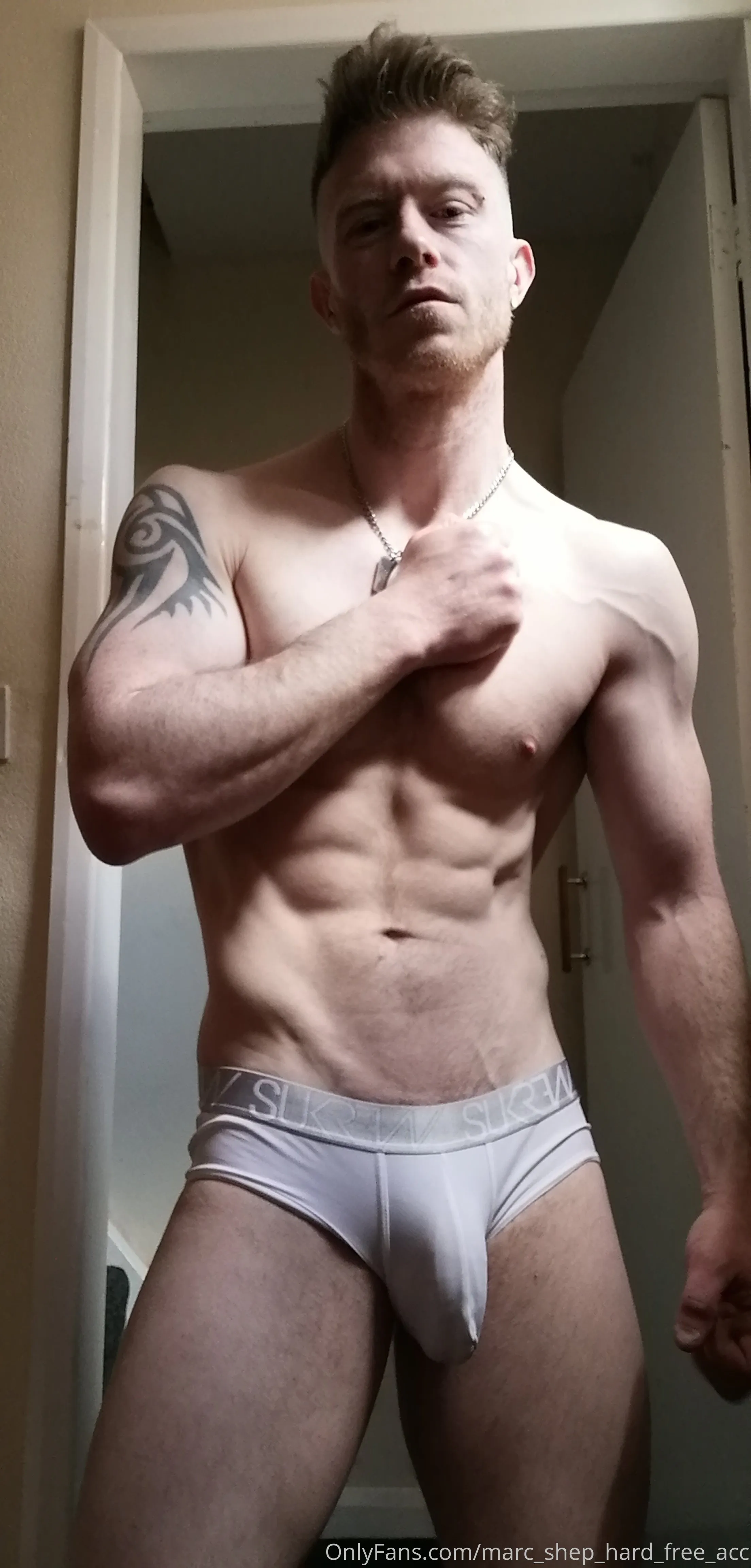 Marc-shep-HARD (free) OnlyFans premium content 17 - marc_shep_hard_free_acc exclusive collection