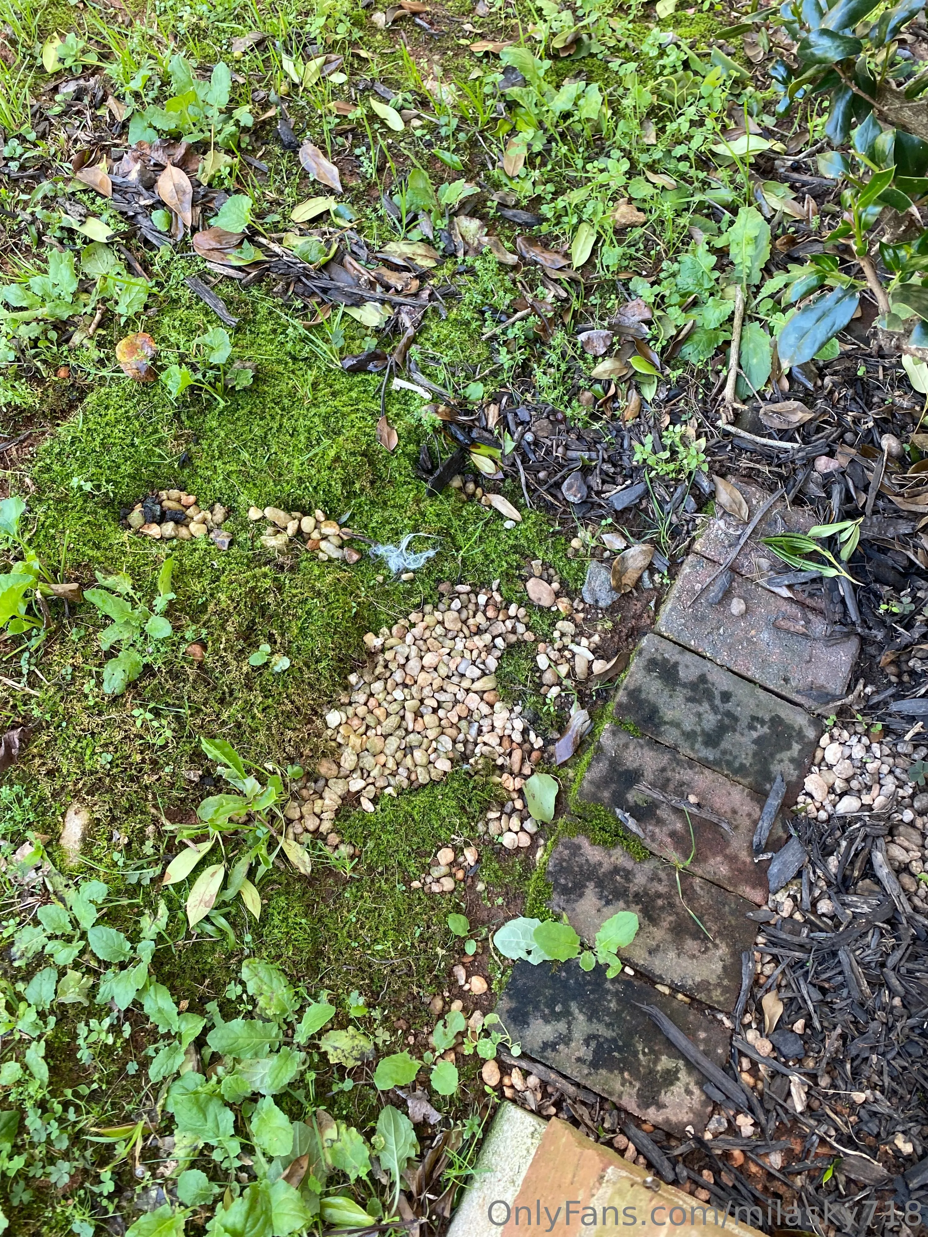 👼Mila The Angel 👼 OnlyFans premium content 6 - milasky718 exclusive collection