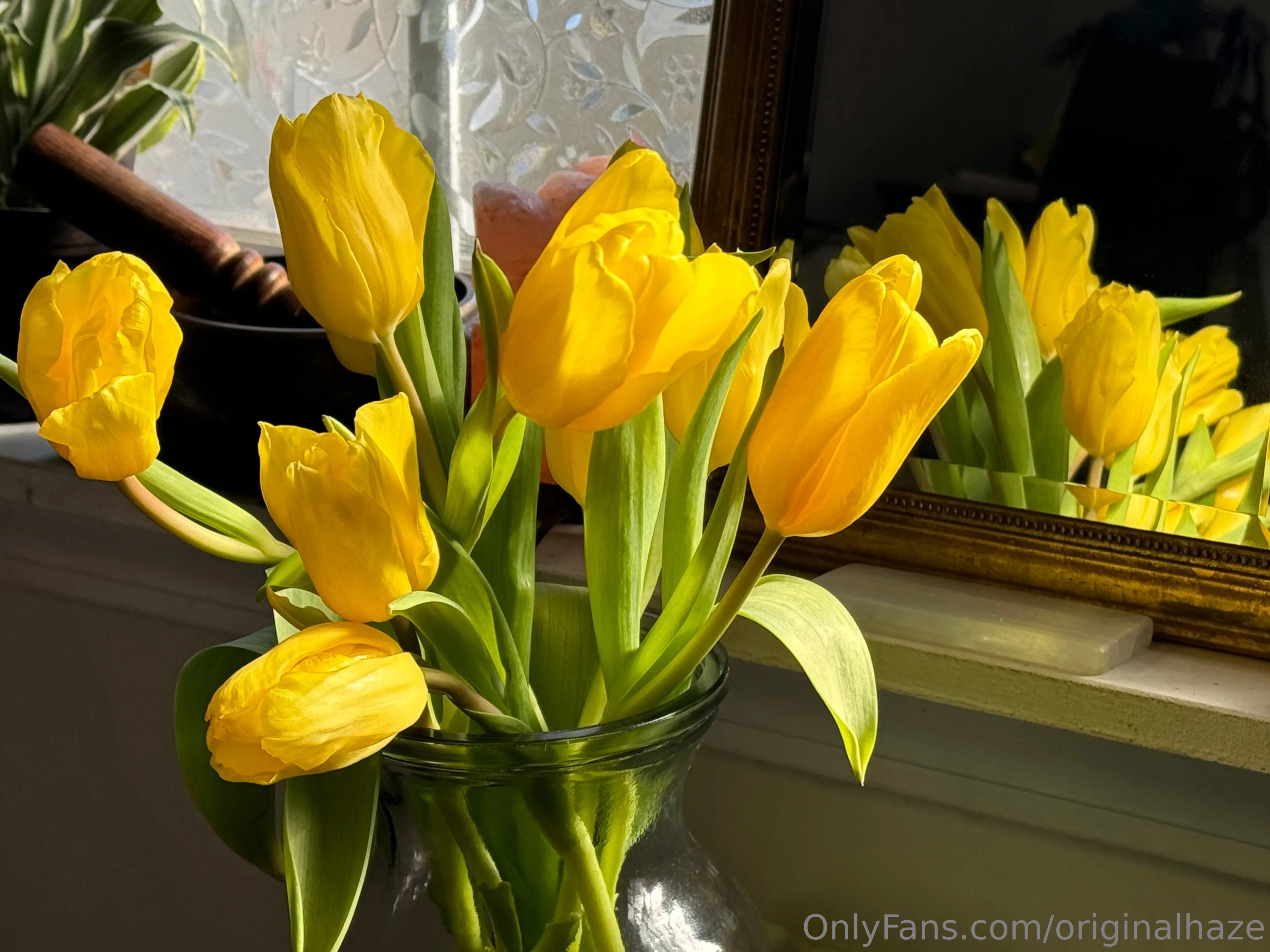 Oghaze OnlyFans premium content 7 - originalhaze exclusive collection