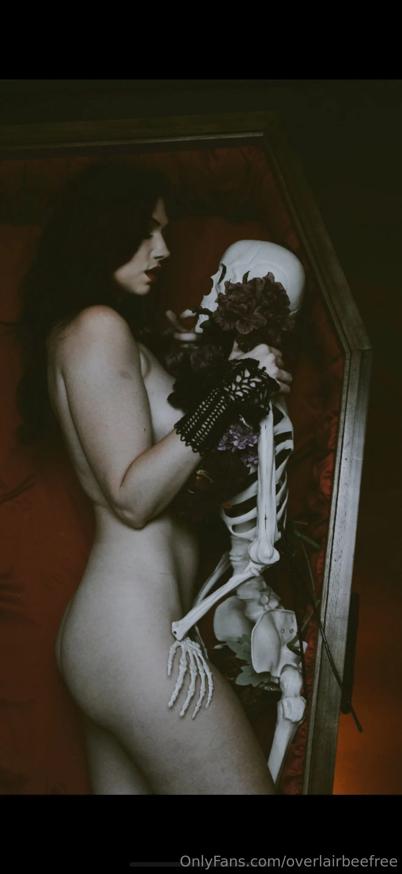 Naked News/Playboy TV Bee- FREE ACCOUNT OnlyFans premium content 9 - overlairbeefree exclusive collection