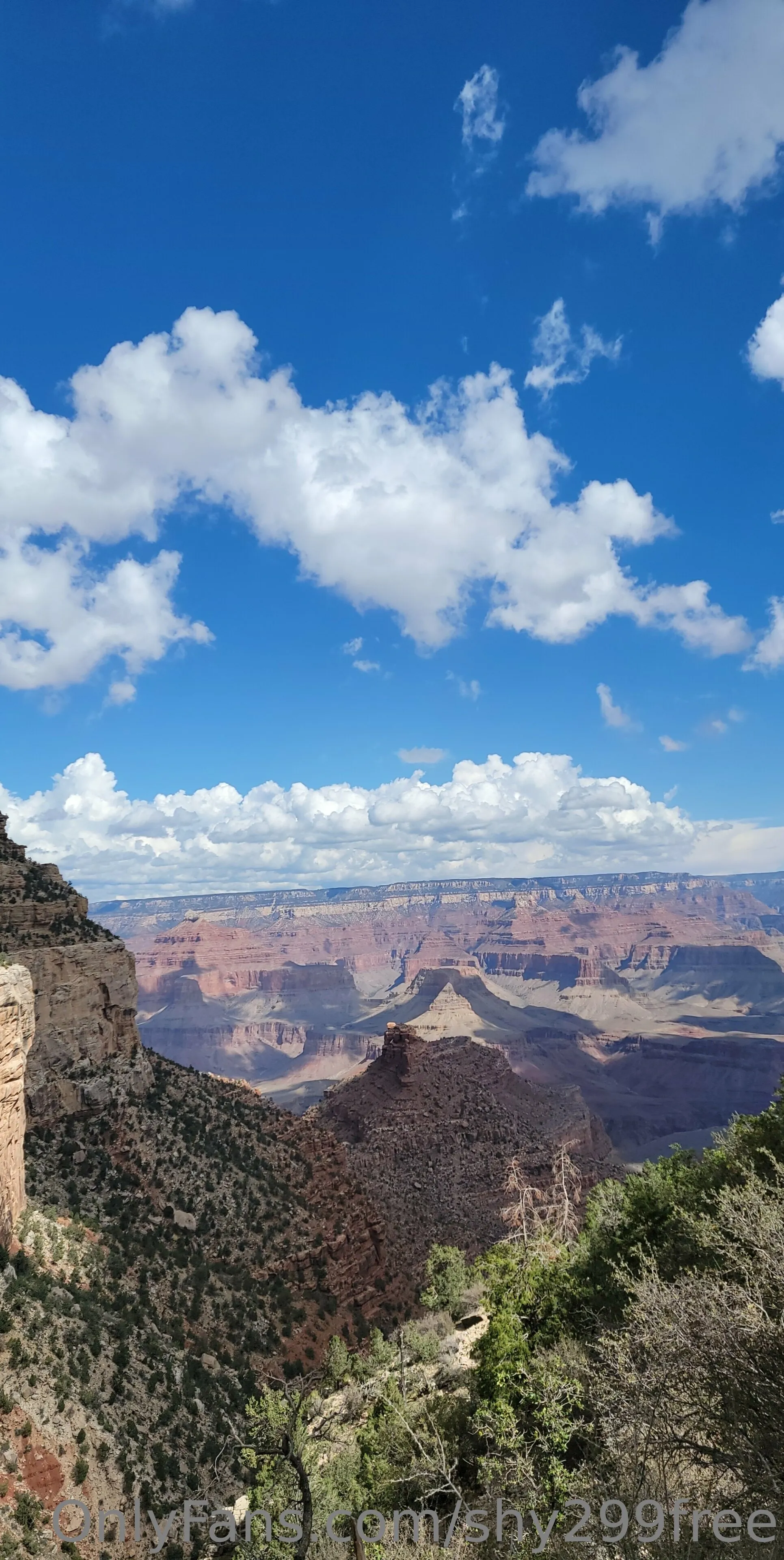 Shy FREE OnlyFans premium content 2 - shy299free exclusive collection