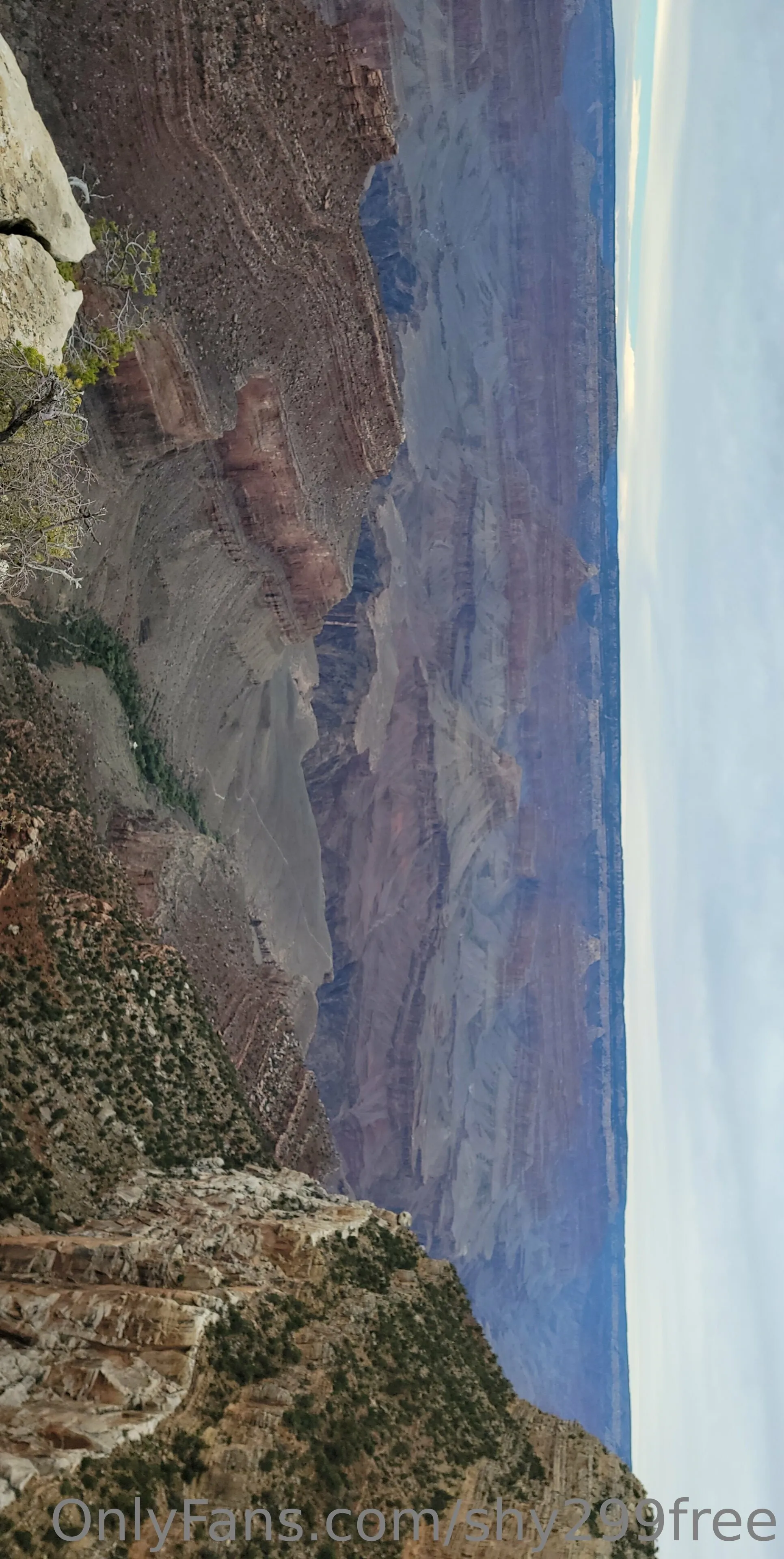 Shy FREE OnlyFans premium content 1 - shy299free exclusive collection