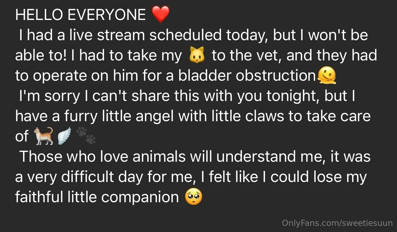 𝒮𝓊𝓃𝓈𝒽𝒾𝓃𝑒🌞 OnlyFans premium content 6 - sweetiesuun exclusive collection