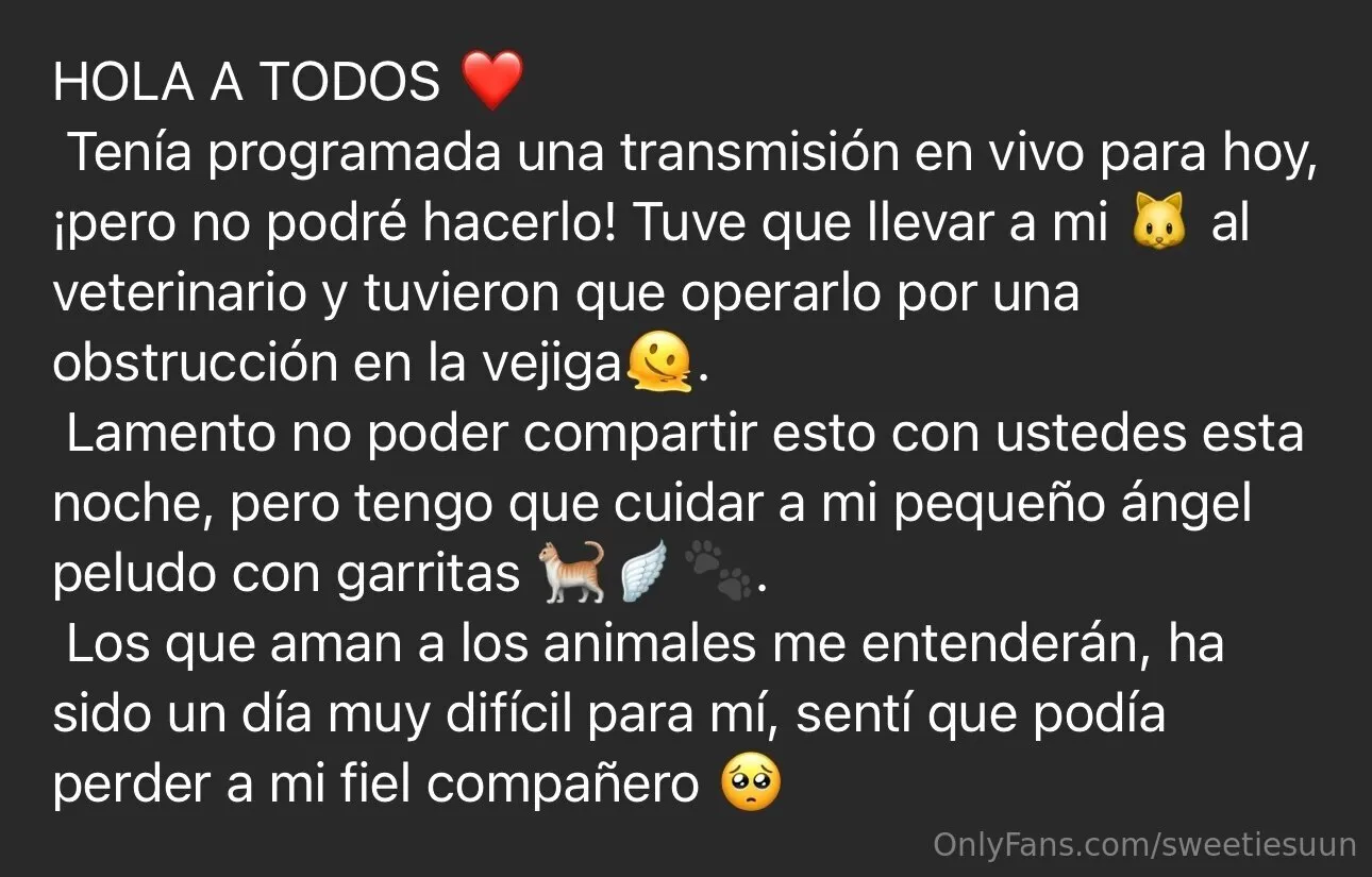 𝒮𝓊𝓃𝓈𝒽𝒾𝓃𝑒🌞 OnlyFans premium content 5 - sweetiesuun exclusive collection