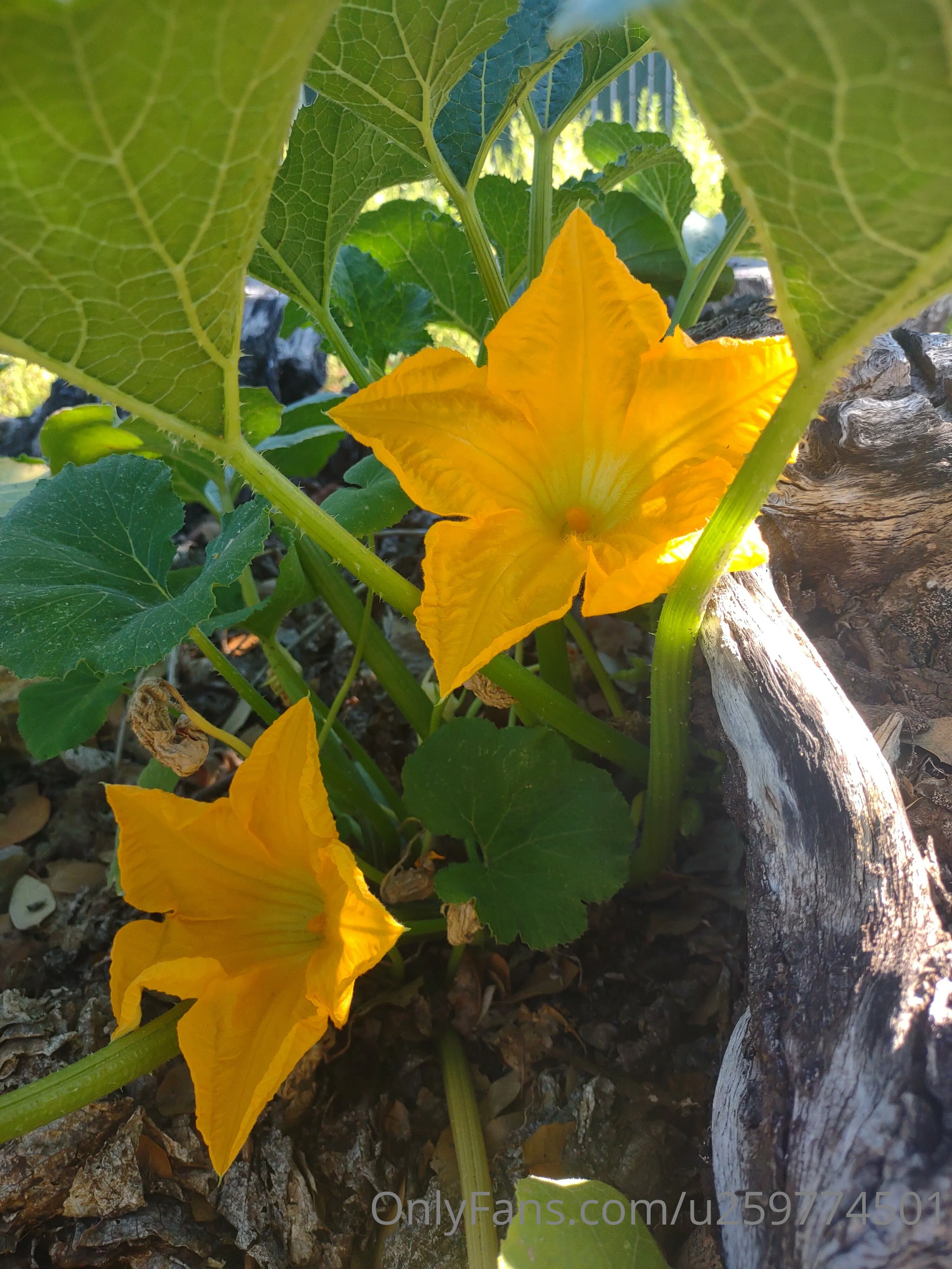 Tanner928 OnlyFans premium content 17 - tanner928 exclusive collection