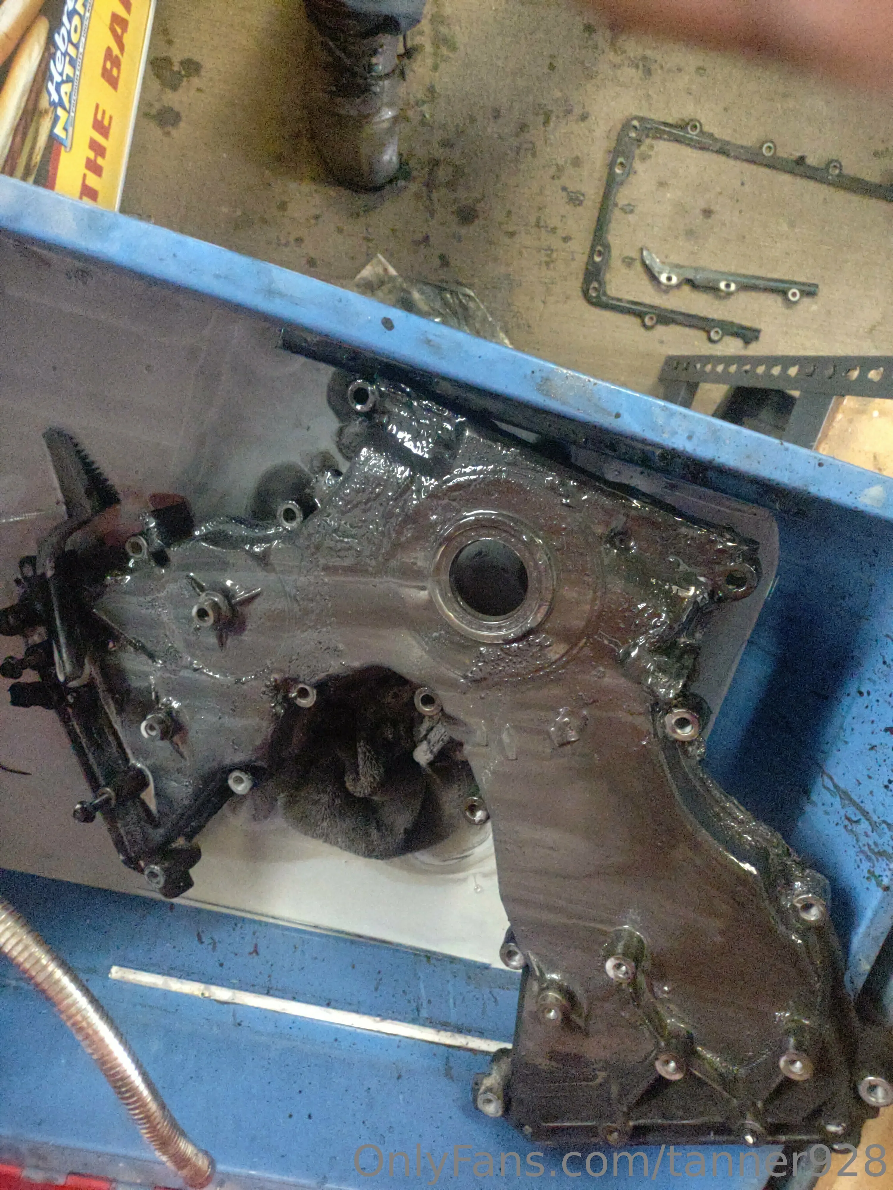 Tanner928 OnlyFans premium content 15 - tanner928 exclusive collection