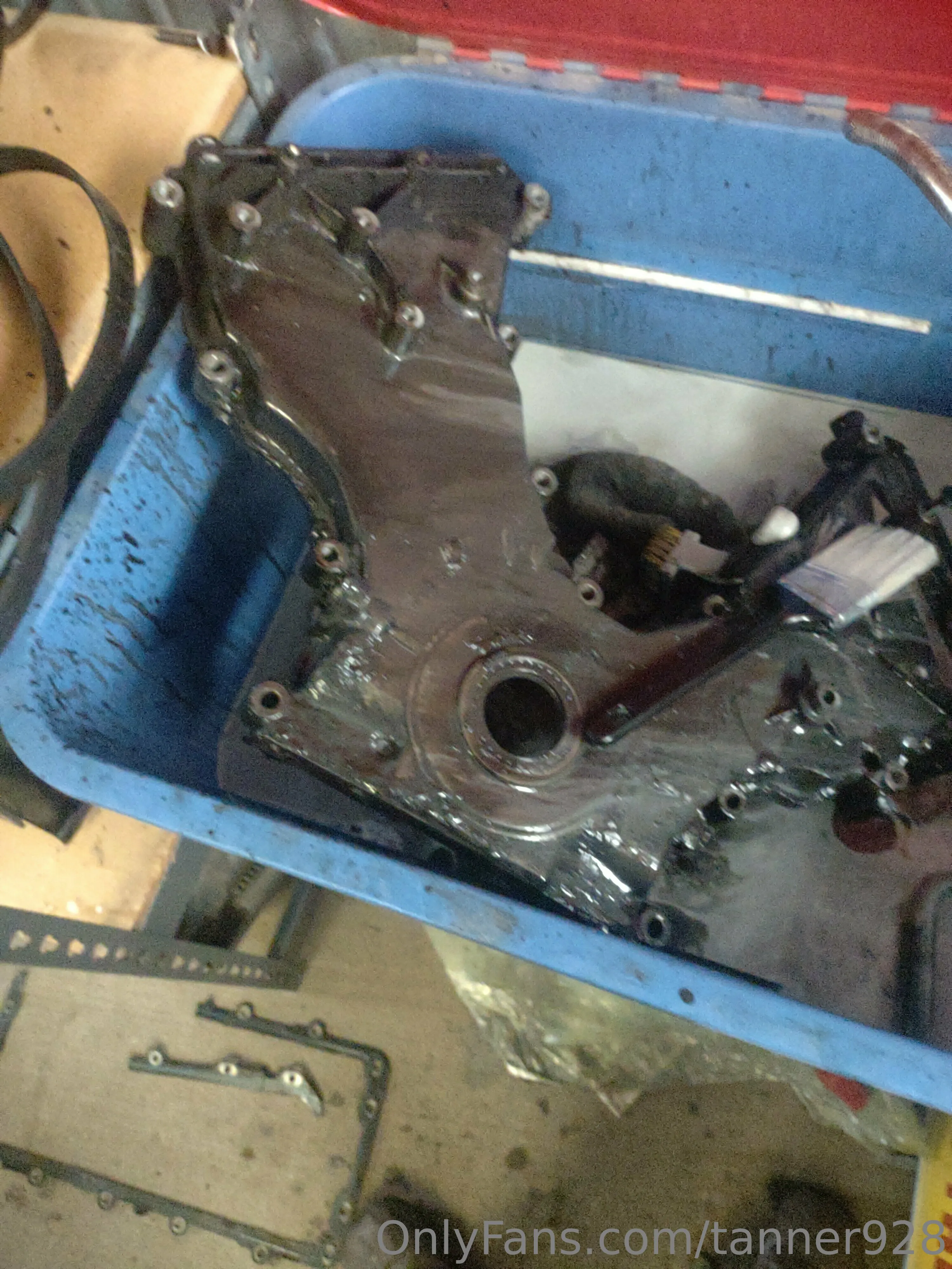 Tanner928 OnlyFans premium content 13 - tanner928 exclusive collection