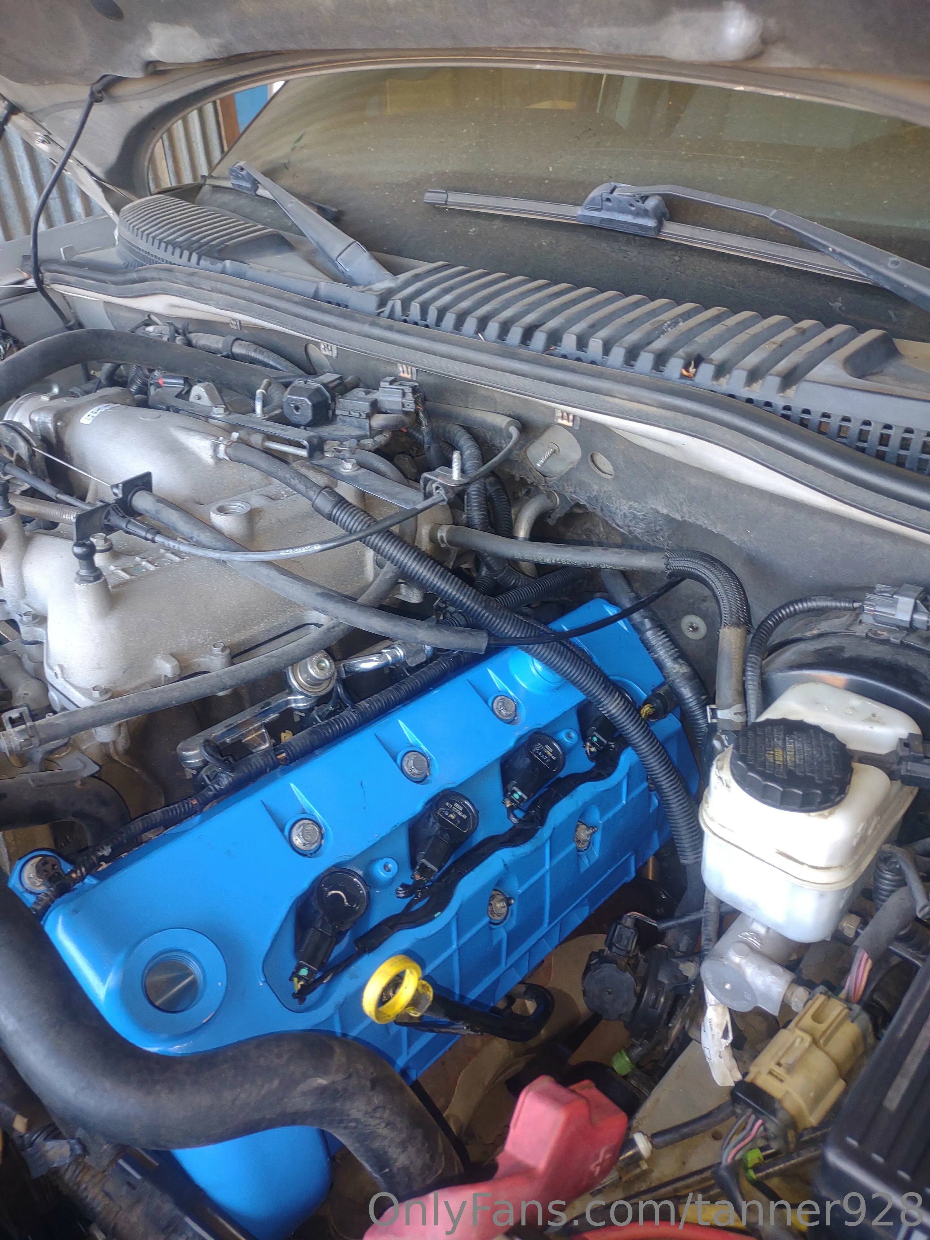 Tanner928 OnlyFans premium content 10 - tanner928 exclusive collection