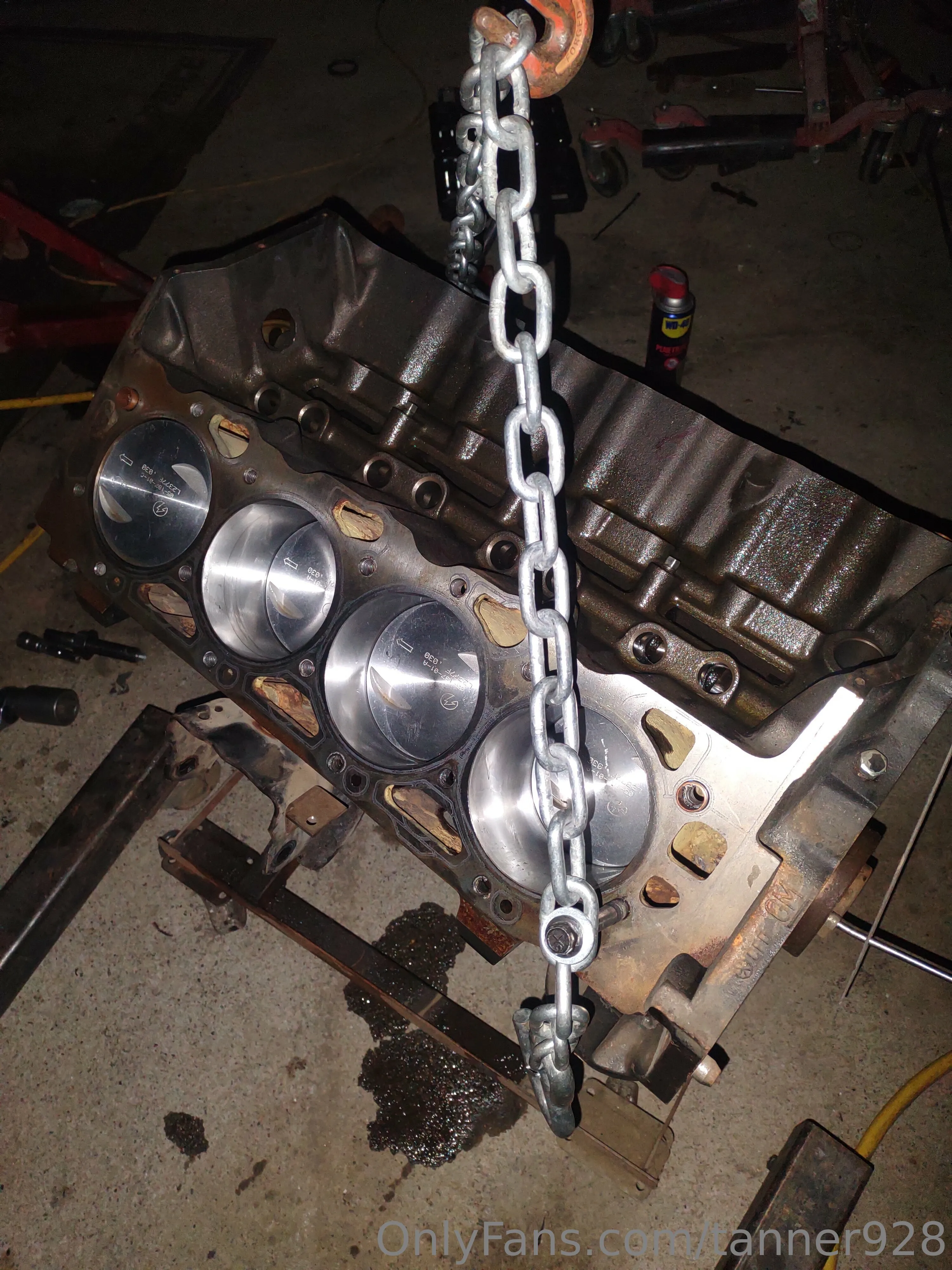 Tanner928 OnlyFans premium content 2 - tanner928 exclusive collection