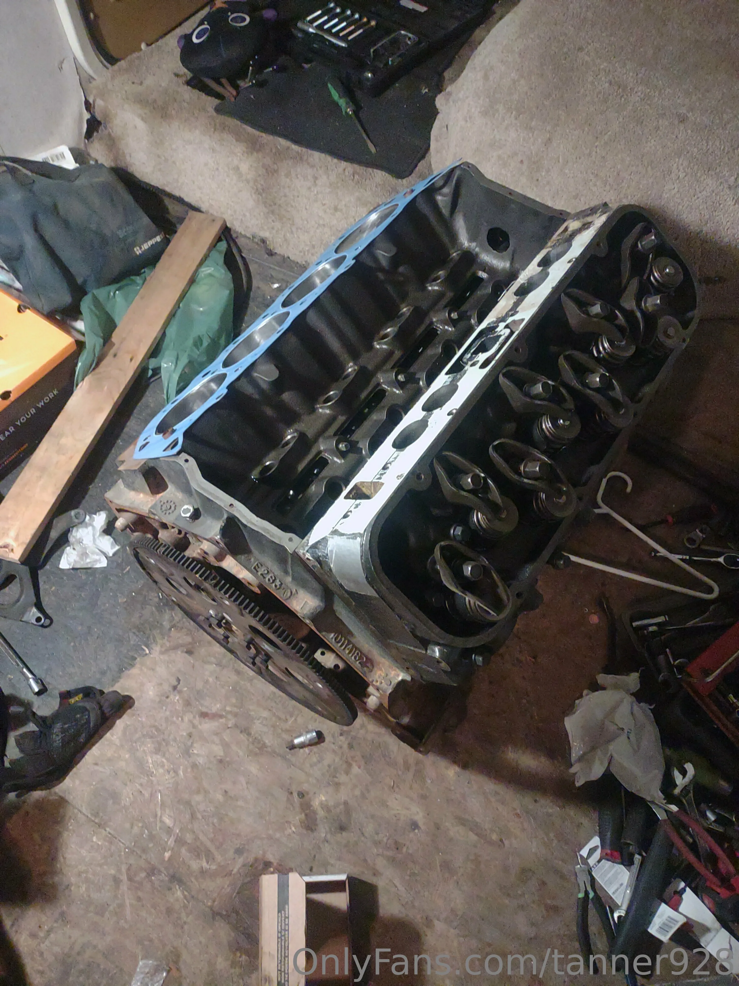 Tanner928 OnlyFans premium content 1 - tanner928 exclusive collection