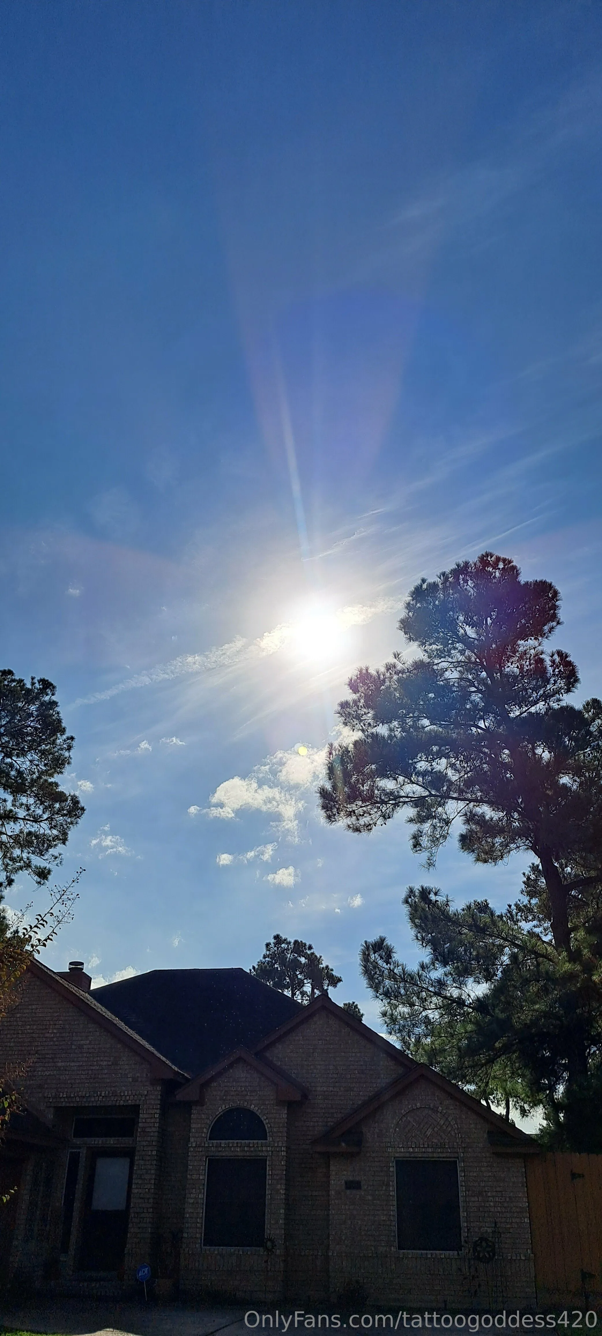 RedSexy OnlyFans premium content 10 - tattoogoddess420 exclusive collection