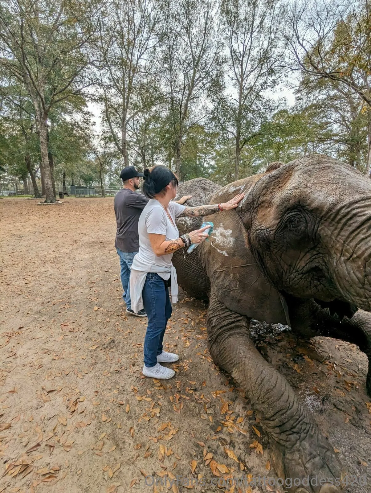 RedSexy OnlyFans premium content 6 - tattoogoddess420 exclusive collection