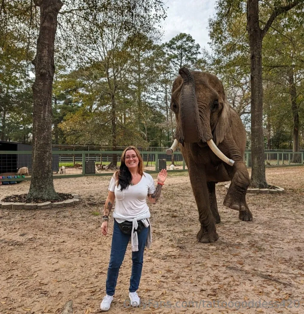 RedSexy OnlyFans premium content 5 - tattoogoddess420 exclusive collection