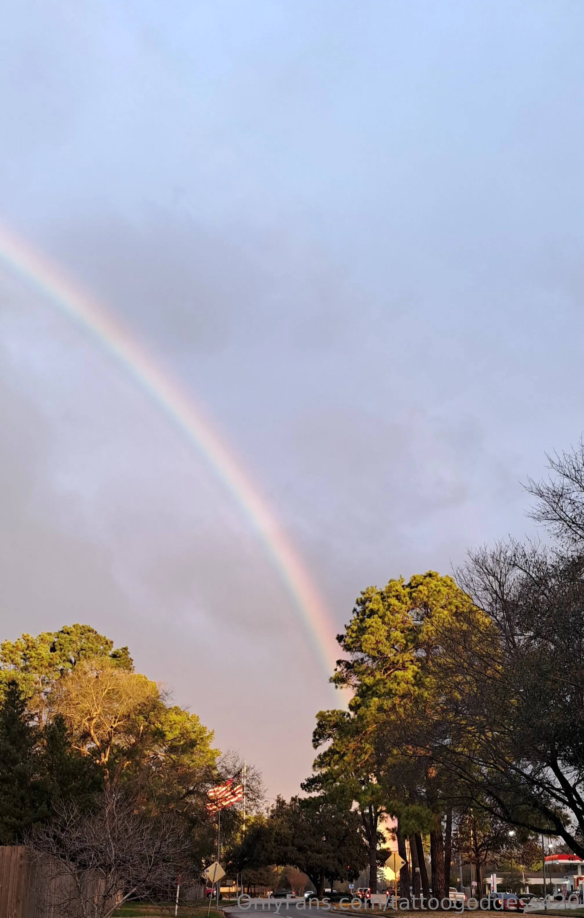 RedSexy OnlyFans premium content 2 - tattoogoddess420 exclusive collection