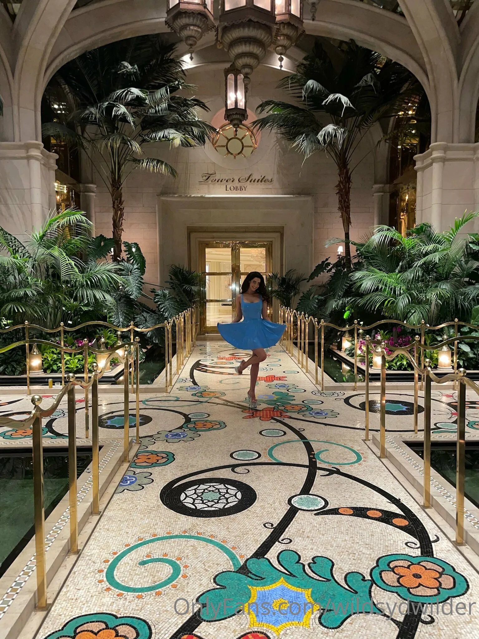 Syd Wilder OnlyFans premium content 7 - wildsydwilder exclusive collection