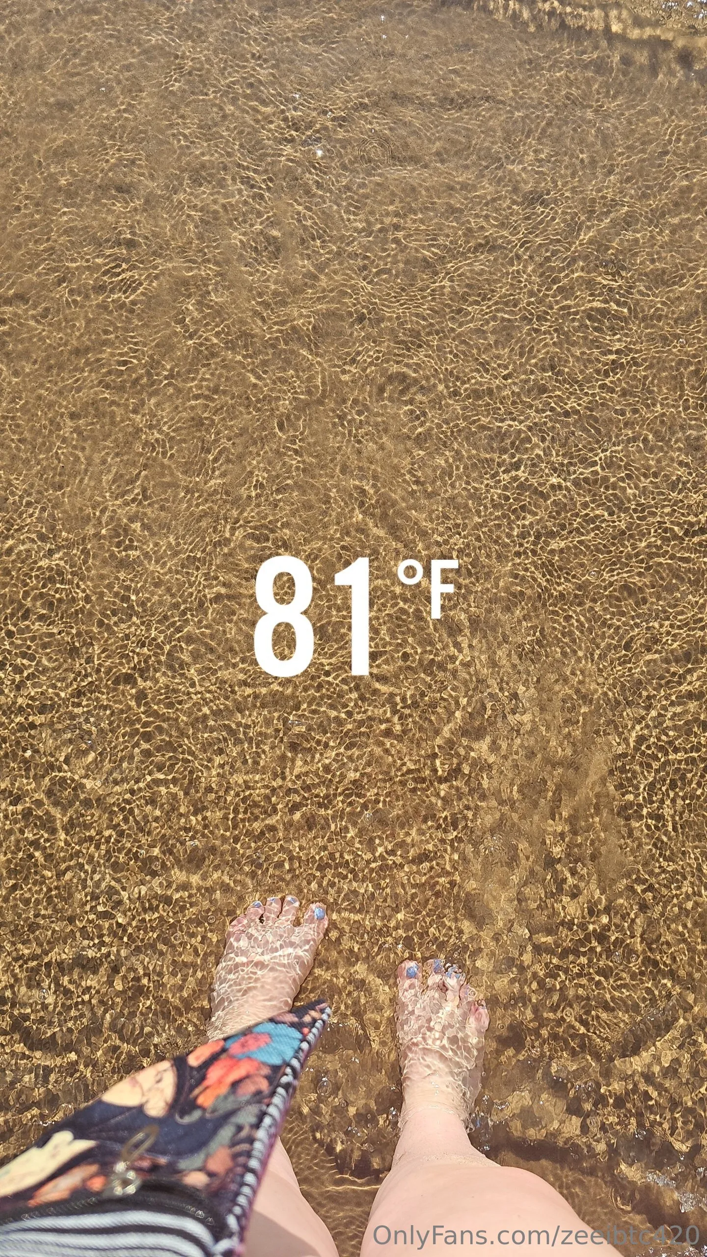 Zeeibtc420 OnlyFans premium content 1 - zeeibtc420 exclusive collection